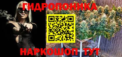 хмурый Можга