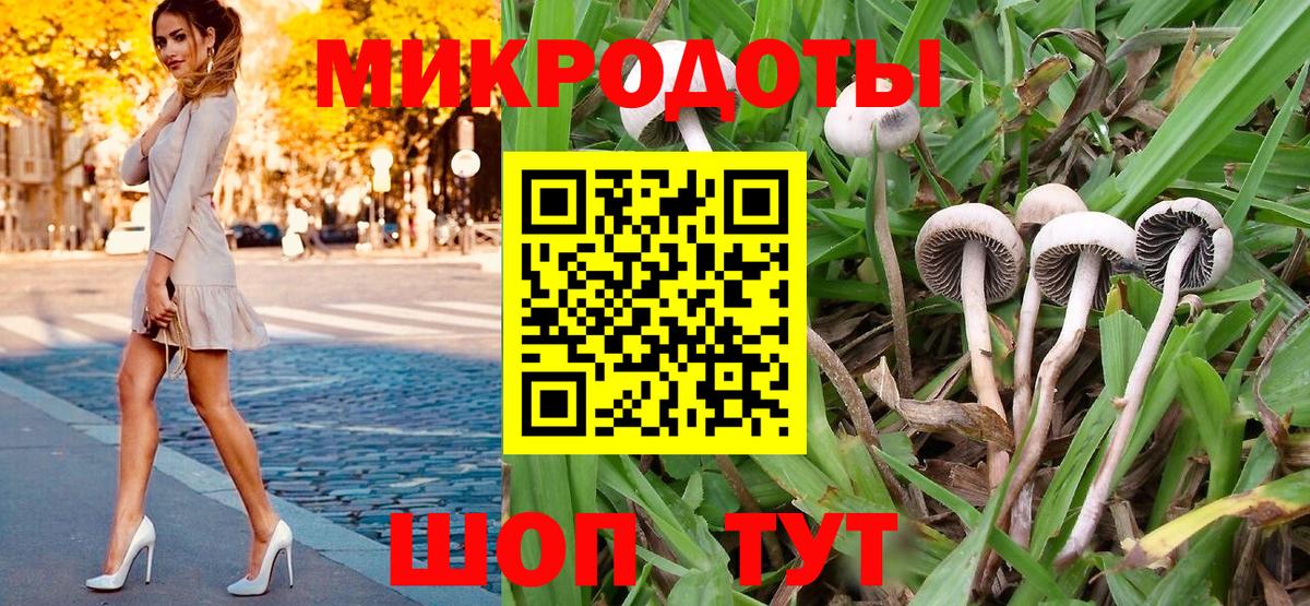 Тосно  Галлюциногенные грибы прущие грибы  Вход с VPN 